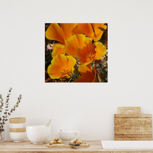 Golden Poppies Poster (Keuken)