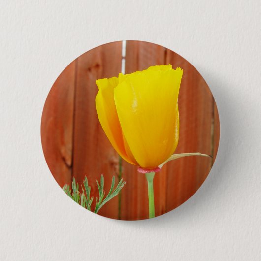Golden Poppy Ronde Button 5,7 Cm (Voorkant)