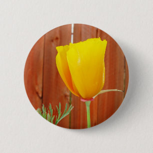 Golden Poppy Ronde Button 5,7 Cm