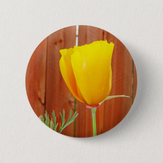 Golden Poppy Ronde Button 5,7 Cm