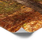 Golden Poster (Hoek)