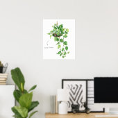 Golden Pothos Poster (Thuiskantoor)