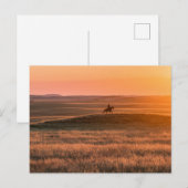 Golden Prairie Party Invitation - Classic Western Briefkaart (Voorkant / Achterkant)