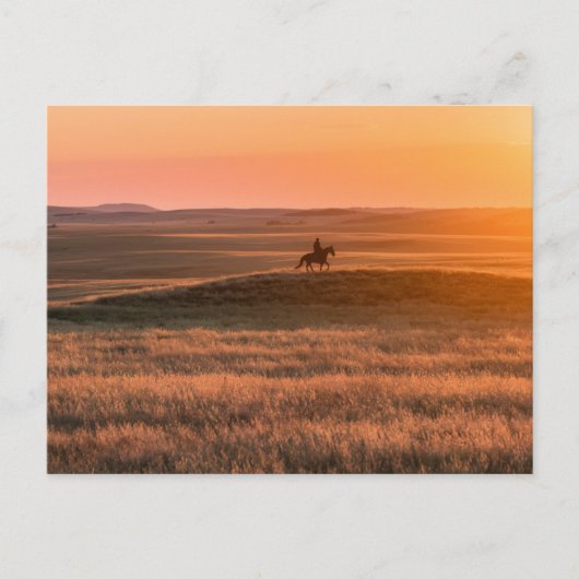 Golden Prairie Party Invitation - Classic Western Briefkaart (Voorkant)