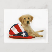Golden Puppy en Uncle Sam Pet Briefkaart (Voorkant)