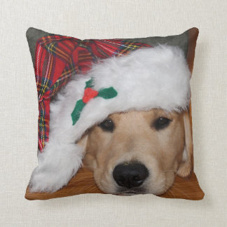 Golden Puppy Pillow Kussen