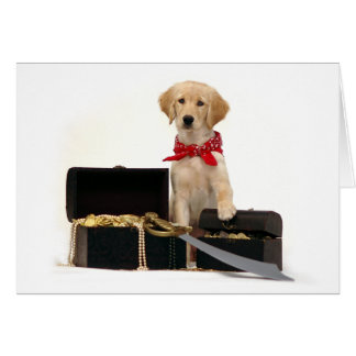 Golden Puppy Pirate