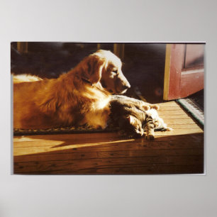 Golden rederij met kattenPoster Poster