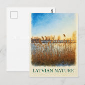 Golden Reeds at Dusk - Carte postale de la nature  (Devant / Derrière)