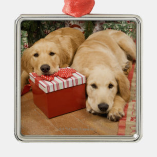 Golden rekwieg puppies met kerstcadeau metalen ornament