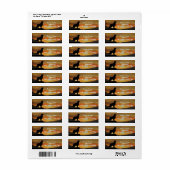 Golden Retirever Cool Return Address Labels (Full Sheet)