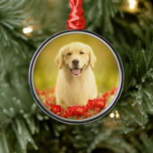 Golden Retirever in Red Flowers Metalen Ornament
