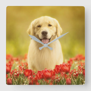 Golden Retirever in Red Flowers Vierkante Klok