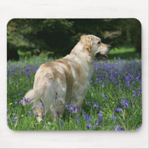 Golden Retreiver in Flowers Muismat