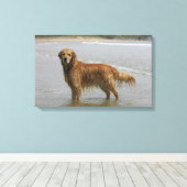 Golden Retreiver in het Zee Canvas Afdruk (Insitu (Houten vloer))