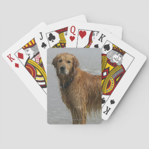 Golden Retreiver in het Zee Pokerkaarten