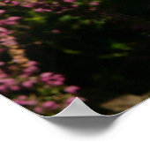 Golden Retreiver Puppy Poster (Hoek)