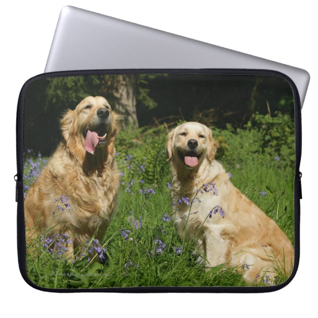 Golden Retreivers in Grass Laptop Sleeve (Voorkant)