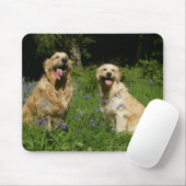 Golden Retreivers in Grass Muismat (Met muis)