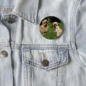 Golden Retreivers in Grass Ronde Button 5,7 Cm (In situ)