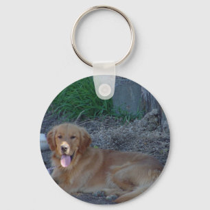 Golden Retrieve Sleutelhanger
