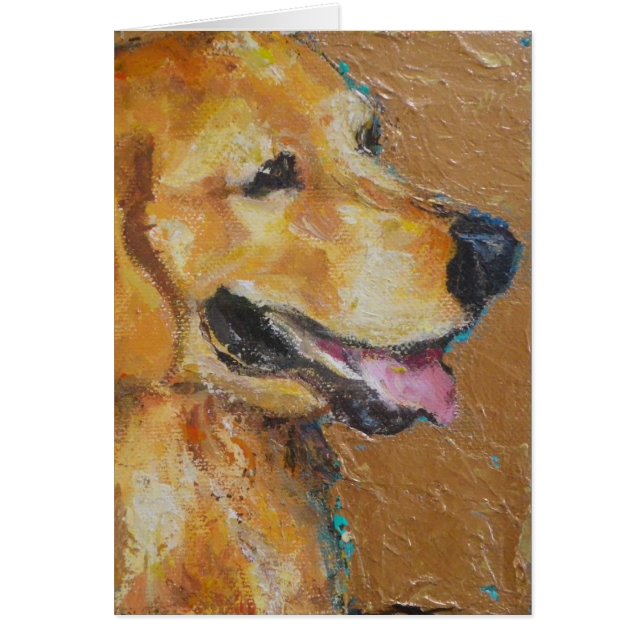 Golden retriever (Devant)