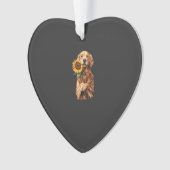 Golden Retriever (devant)