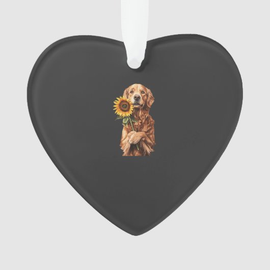 Golden Retriever (devant)