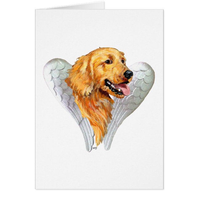 Golden Retriever (Devant)