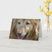 Golden Retriever 10 jaar oud Kaart (Gele Bloem)