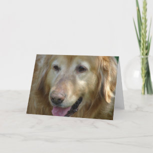 Golden Retriever 10 jaar oud Kaart