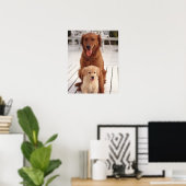 Golden Retriever 2 Poster (Thuiskantoor)