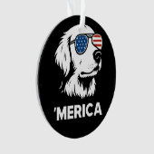 Golden Retriever 4 juillet Merica (devant)