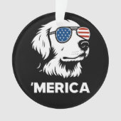 Golden Retriever 4 juillet Merica (devant)