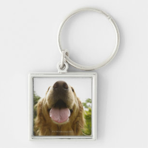Golden Retriever 5 Sleutelhanger