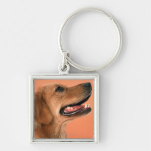 Golden Retriever 7 Sleutelhanger