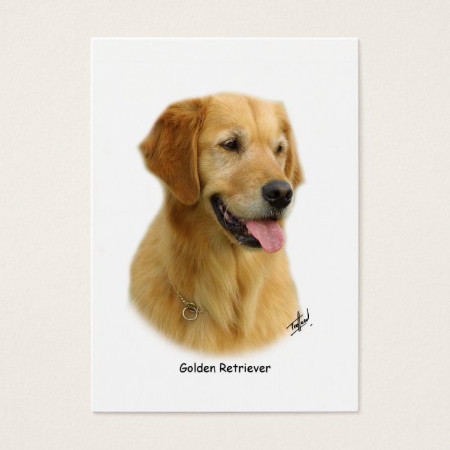 Golden Retriever 9K011D-08 (Devant)