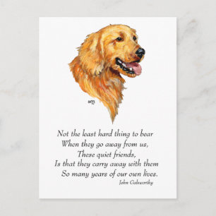 Golden Retriever Aandenken Briefkaart
