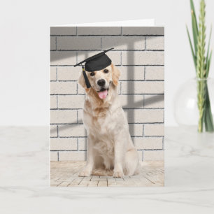 Golden Retriever Afstuderen op Brick Kaart