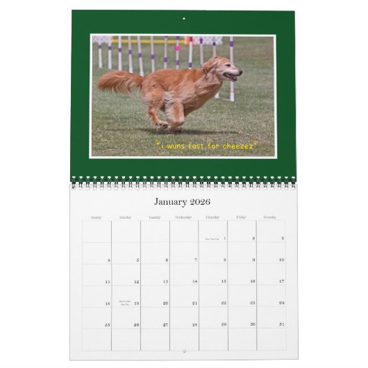 Golden Retriever Agenda 2012 Kalender (Jan 2026)
