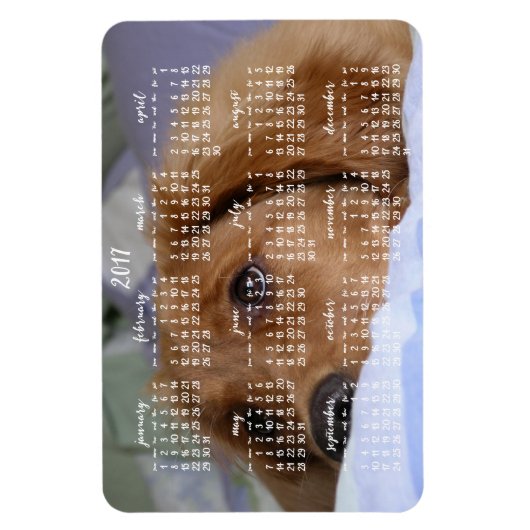 Golden Retriever Agenda 2017 Grote Foto Magneet (Verticaal)