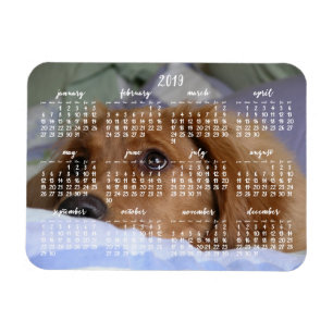 Golden Retriever Agenda 2019 met Photo Magnet Magneet