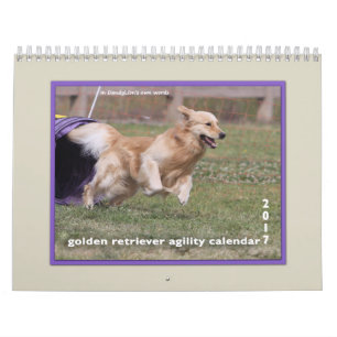Golden Retriever Agility 2017 Kalender