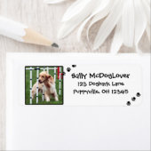 Golden Retriever Agility Etiket (Insitu)