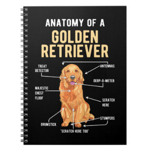 Golden Retriever Anatomy Funny Dog Notitieboek