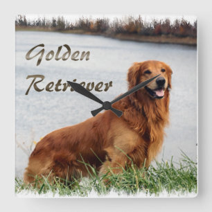 Golden Retriever Art Vierkante Klok