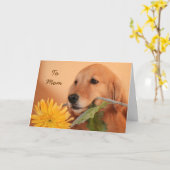 Golden Retriever avec la carte Flower Mother's Day (Fleur jaune)