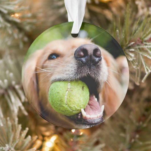 Golden Retriever Avec Le Bal De Tennis (Arbre)
