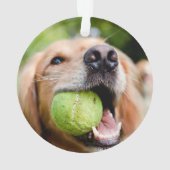Golden Retriever Avec Le Bal De Tennis (dos)