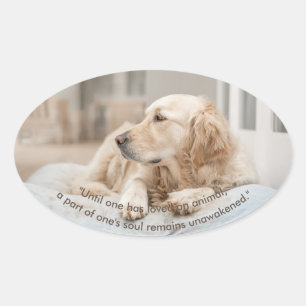 Golden Retriever avec un autocollant ovale